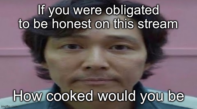 gi hun stare | If you were obligated to be honest on this stream; How cooked would you be | image tagged in gi hun stare,msmg | made w/ Imgflip meme maker