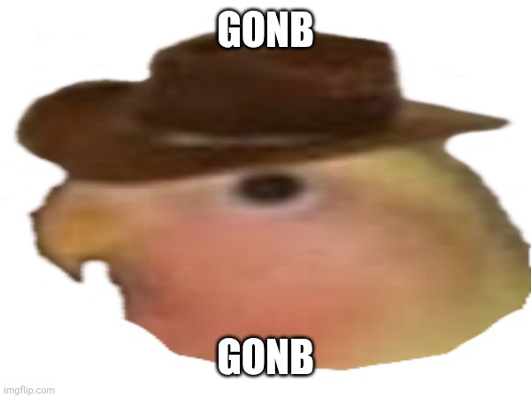 Gonb | GONB; GONB | image tagged in gonb | made w/ Imgflip meme maker