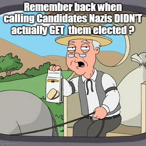 Remember back when calling Candidates Nazis DIDN'T actually GET  them elected ? | made w/ Imgflip meme maker
