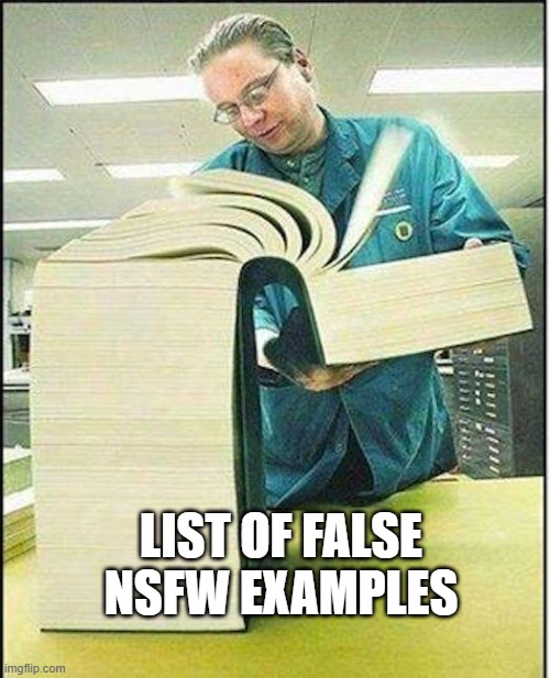 big book | LIST OF FALSE NSFW EXAMPLES | image tagged in big book | made w/ Imgflip meme maker