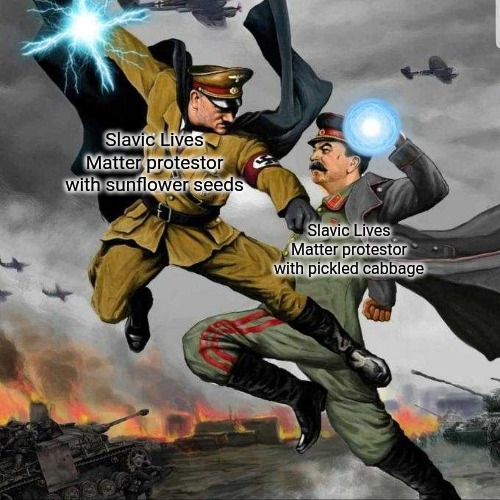 Stalin vs Hitler | Slavic Lives Matter protestor with sunflower seeds; Slavic Lives Matter protestor with pickled cabbage | image tagged in stalin vs hitler,slavic | made w/ Imgflip meme maker