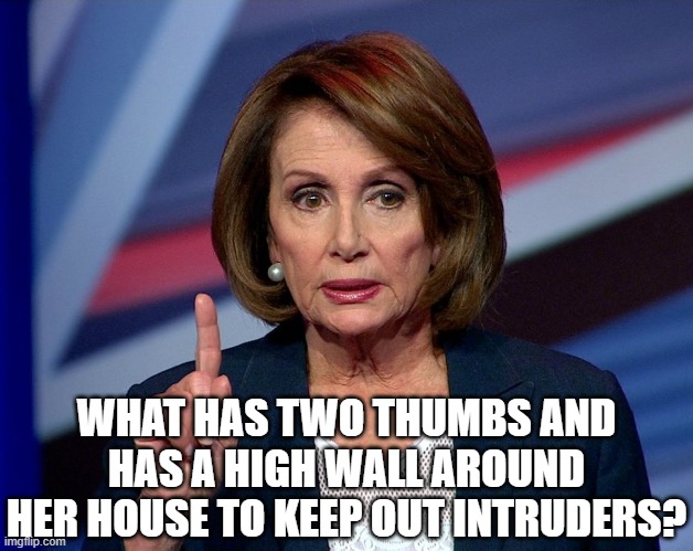 Nanci Pelosi Finger | WHAT HAS TWO THUMBS AND HAS A HIGH WALL AROUND HER HOUSE TO KEEP OUT INTRUDERS? | image tagged in nanci pelosi finger | made w/ Imgflip meme maker