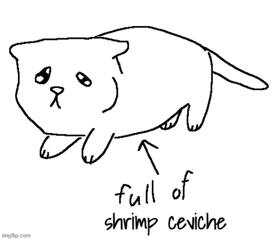 back from making and eating food | shrimp ceviche | image tagged in full of milk cat | made w/ Imgflip meme maker