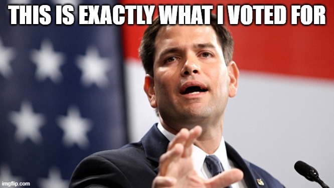 Marco Rubio | THIS IS EXACTLY WHAT I VOTED FOR | image tagged in marco rubio | made w/ Imgflip meme maker