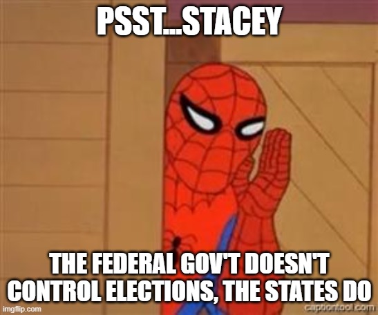 psst spiderman | PSST...STACEY THE FEDERAL GOV'T DOESN'T CONTROL ELECTIONS, THE STATES DO | image tagged in psst spiderman | made w/ Imgflip meme maker