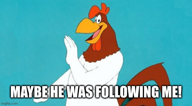 Rooster | MAYBE HE WAS FOLLOWING ME! | image tagged in rooster | made w/ Imgflip meme maker