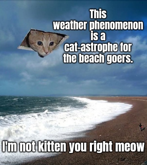 Ive got a bad feline about this strange weather. | This weather phenomenon is a cat-astrophe for the beach goers. I'm not kitten you right meow | image tagged in memes,cat,punz | made w/ Imgflip meme maker