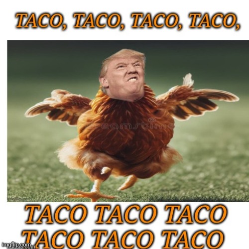 Chicken tacos | image tagged in trump always chicken out,maga,they would eat dirt before blaming trump | made w/ Imgflip meme maker
