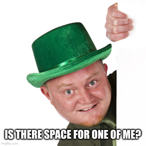 irishman | IS THERE SPACE FOR ONE OF ME? | image tagged in irishman | made w/ Imgflip meme maker