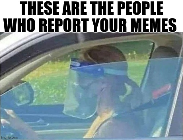 These Are The People Who Report Your Memes | THESE ARE THE PEOPLE WHO REPORT YOUR MEMES | image tagged in chrisjoines1 | made w/ Imgflip meme maker