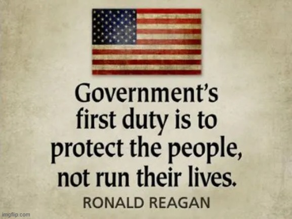 Democrats Do Not Understand | image tagged in ronald reagan,protection,democrats,big government,evil government | made w/ Imgflip meme maker