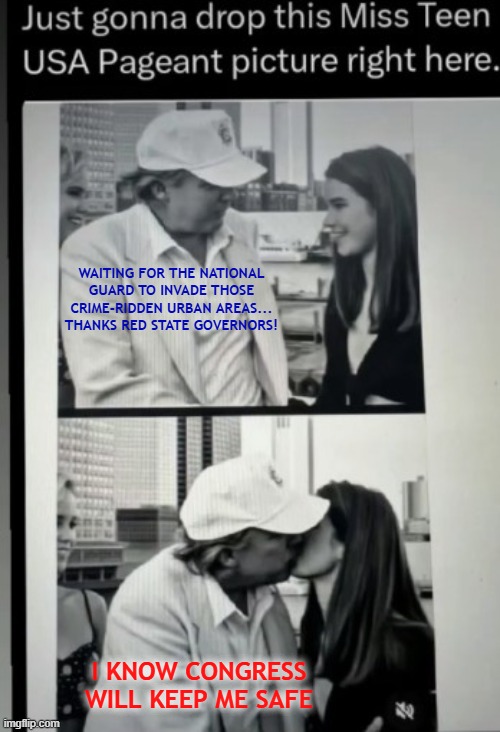 WAITING FOR THE NATIONAL GUARD TO INVADE THOSE CRIME-RIDDEN URBAN AREAS... THANKS RED STATE GOVERNORS! I KNOW CONGRESS
WILL KEEP ME SAFE | made w/ Imgflip meme maker