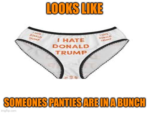 Blank White Template | LOOKS LIKE SOMEONES PANTIES ARE IN A BUNCH | image tagged in blank white template | made w/ Imgflip meme maker