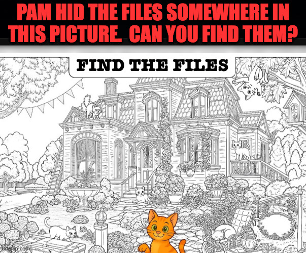 Find the files. | PAM HID THE FILES SOMEWHERE IN
THIS PICTURE.  CAN YOU FIND THEM? FIND THE FILES | image tagged in memes,epstein trump,find the files | made w/ Imgflip meme maker