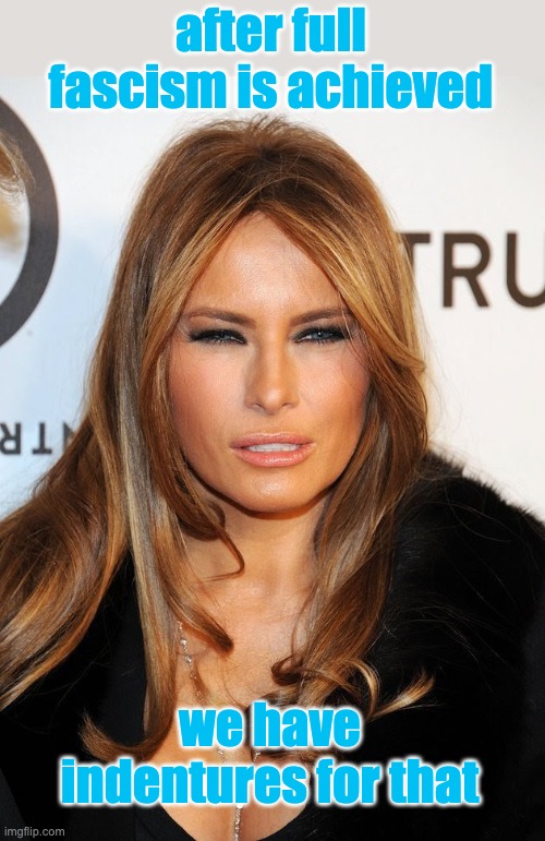 Melania blue steel | after full fascism is achieved we have indentures for that | image tagged in melania blue steel | made w/ Imgflip meme maker
