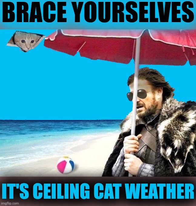Summer is Coming sticker | BRACE YOURSELVES IT'S CEILING CAT WEATHER | image tagged in summer is coming sticker | made w/ Imgflip meme maker
