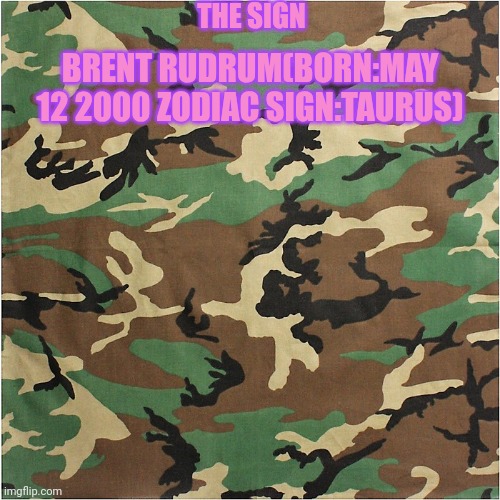 Cammo Background | THE SIGN; BRENT RUDRUM(BORN:MAY 12 2000 ZODIAC SIGN:TAURUS) | image tagged in cammo background | made w/ Imgflip meme maker