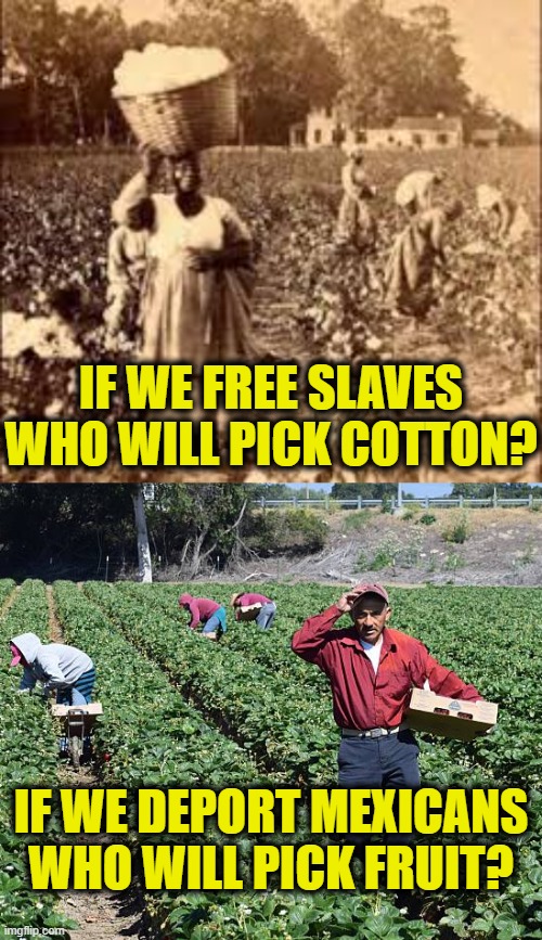 Democrats haven't changed much | IF WE FREE SLAVES
WHO WILL PICK COTTON? IF WE DEPORT MEXICANS
WHO WILL PICK FRUIT? | image tagged in democrats | made w/ Imgflip meme maker