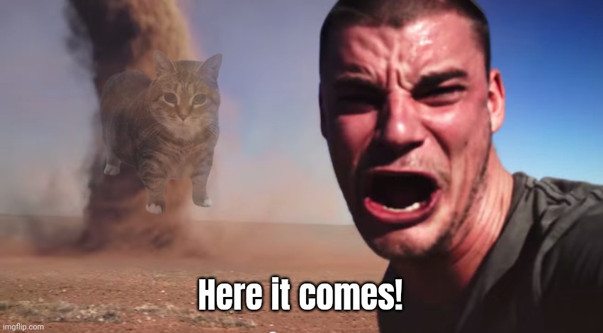 Here it comes | Here it comes! | image tagged in here it comes | made w/ Imgflip meme maker