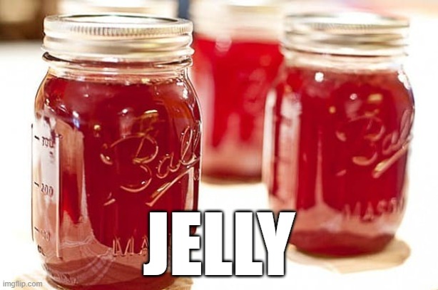 JELLY | made w/ Imgflip meme maker