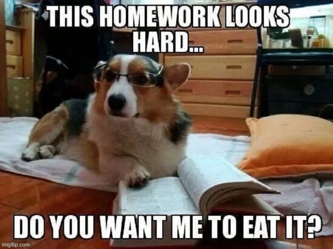 Man's Best Friend; and a student's even better friend | image tagged in vince vance,dogs,dog ate homework,funny animal meme,funny dog memes,dog wearing glasses | made w/ Imgflip meme maker