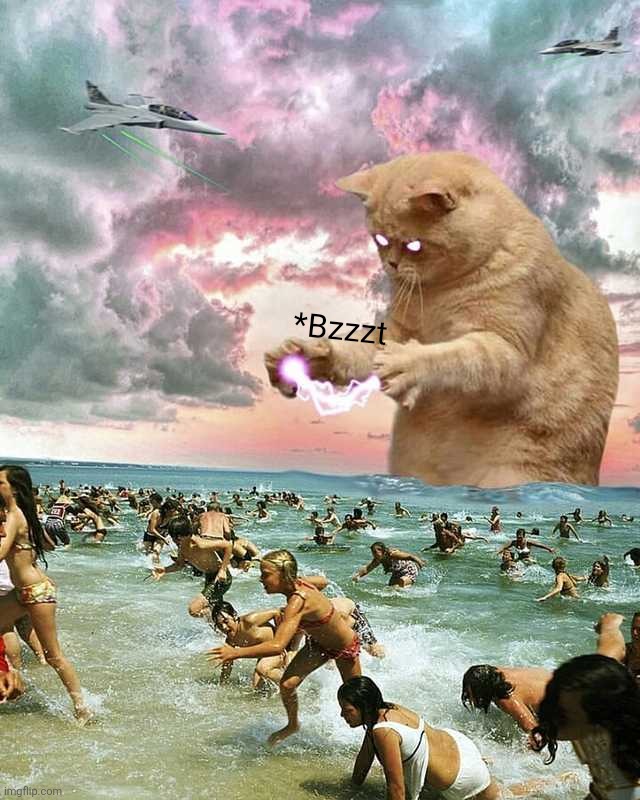 Giant lightning cat | *Bzzzt | image tagged in giant lightning cat | made w/ Imgflip meme maker