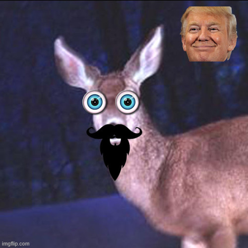 deer in the headlights | image tagged in deer in the headlights | made w/ Imgflip meme maker