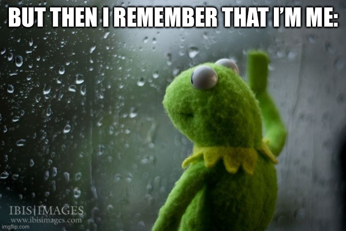 BUT THEN I REMEMBER THAT I’M ME: | image tagged in kermit window | made w/ Imgflip meme maker