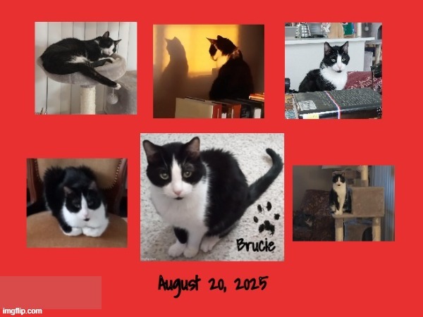 cool car photos i found with flip thingy | made w/ Imgflip meme maker