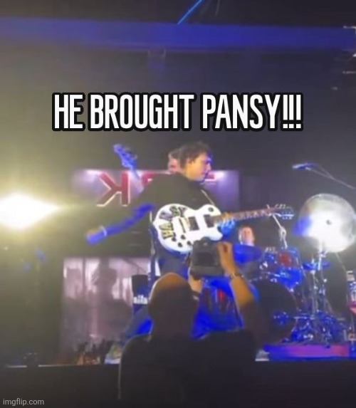 PANSY PANSY PANSY PA | made w/ Imgflip meme maker