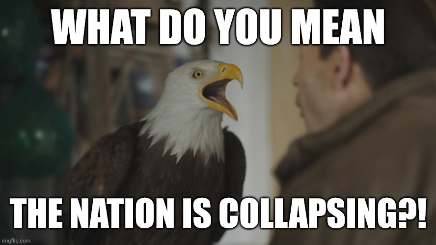 Angry Eagle | WHAT DO YOU MEAN; THE NATION IS COLLAPSING?! | image tagged in memes,funny,eagle,eagles,bald eagle,angry birds | made w/ Imgflip meme maker