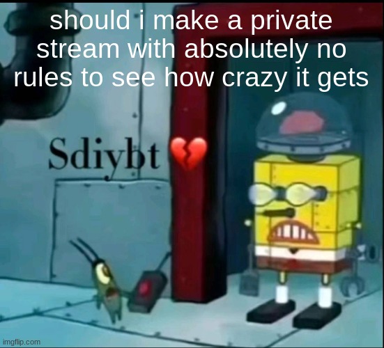 sdiybt | should i make a private stream with absolutely no rules to see how crazy it gets | image tagged in sdiybt | made w/ Imgflip meme maker