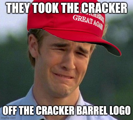 and replacing him with nothing | THEY TOOK THE CRACKER; OFF THE CRACKER BARREL LOGO | image tagged in memes,1990s first world problems | made w/ Imgflip meme maker