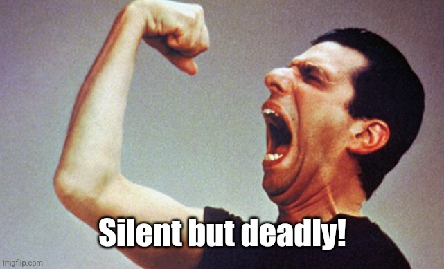 bowzer shanana | Silent but deadly! | image tagged in bowzer shanana | made w/ Imgflip meme maker