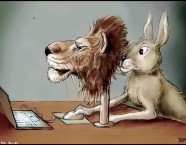 Rabbit hiding behind lion mask | image tagged in rabbit hiding behind lion mask | made w/ Imgflip meme maker