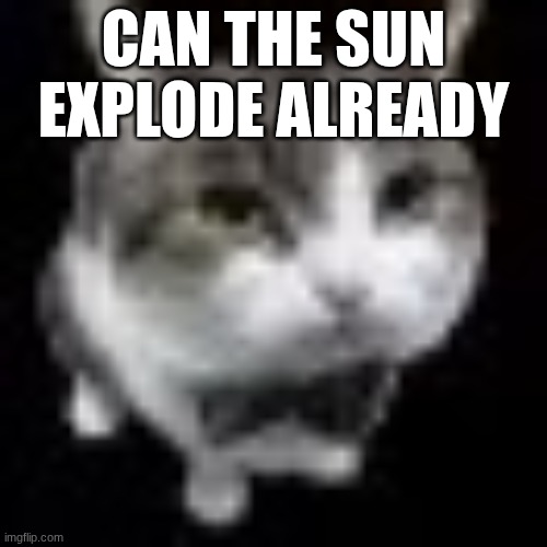 Le wawa cat | CAN THE SUN EXPLODE ALREADY | image tagged in le wawa cat | made w/ Imgflip meme maker