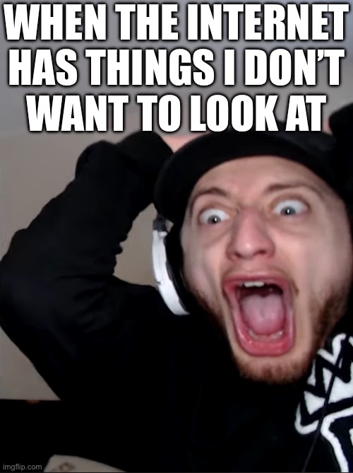 horroor | WHEN THE INTERNET HAS THINGS I DON’T
WANT TO LOOK AT | image tagged in horroor | made w/ Imgflip meme maker
