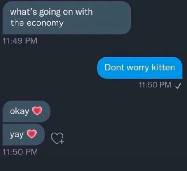 kitten Blank Meme Template