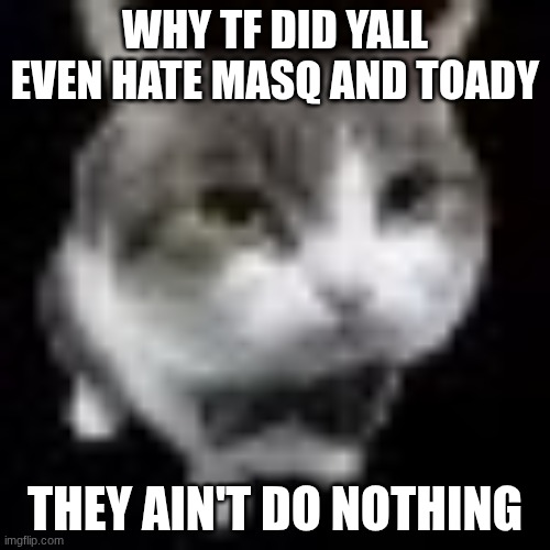 this genuinely pisses me off | WHY TF DID YALL EVEN HATE MASQ AND TOADY; THEY AIN'T DO NOTHING | image tagged in le wawa cat | made w/ Imgflip meme maker