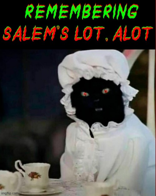 The Story of Entire Town Turning into Vampires | image tagged in vince vance,black cat,nightie,vampires,stephen king,salem's lot | made w/ Imgflip meme maker