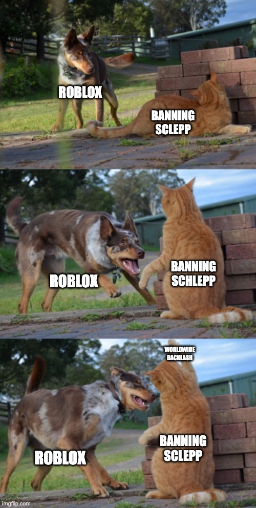 I don't even play roblox lol | ROBLOX; BANNING SCLEPP; BANNING SCHLEPP; ROBLOX; WORLDWIDE BACKLASH; BANNING SCLEPP; ROBLOX | image tagged in dog playing with cat | made w/ Imgflip meme maker