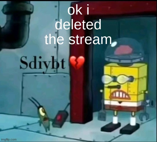sdiybt | ok i deleted the stream | image tagged in sdiybt | made w/ Imgflip meme maker
