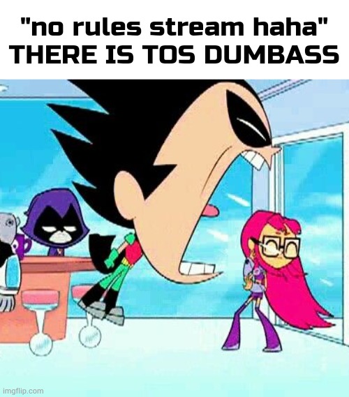 terms of service may get u banned if you break. js a warning | "no rules stream haha"
THERE IS TOS DUMBASS | image tagged in robin yelling at starfire | made w/ Imgflip meme maker