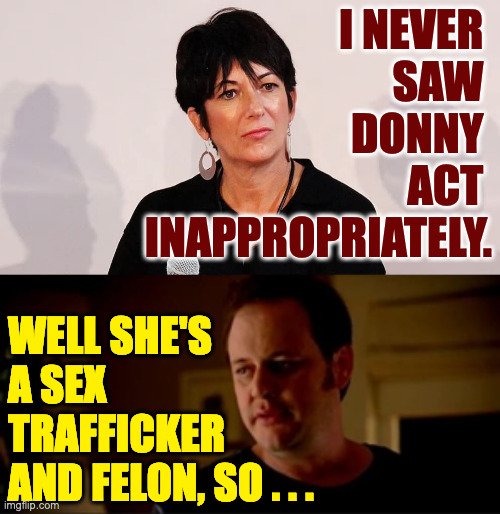 When in Rome... | I NEVER 
SAW 
DONNY 
ACT 
INAPPROPRIATELY. WELL SHE'S
A SEX
TRAFFICKER
AND FELON, SO . . . | image tagged in jake from state farm,memes,trump epstein | made w/ Imgflip meme maker