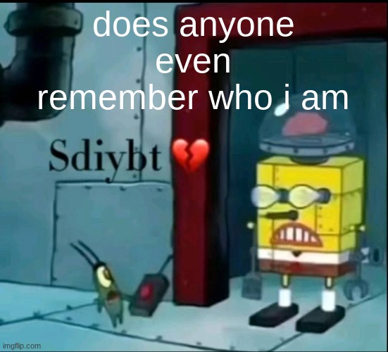 i feel like everyone knows me as tenna now | does anyone even remember who i am | image tagged in sdiybt | made w/ Imgflip meme maker