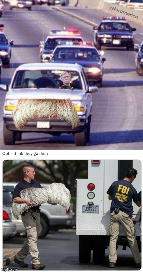 I think they got him | image tagged in president trump,draining the swamp | made w/ Imgflip meme maker