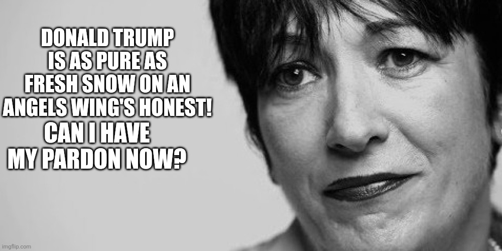 Ghislaine Maxwell | DONALD TRUMP IS AS PURE AS FRESH SNOW ON AN ANGELS WING'S HONEST! CAN I HAVE MY PARDON NOW? | image tagged in ghislaine maxwell | made w/ Imgflip meme maker
