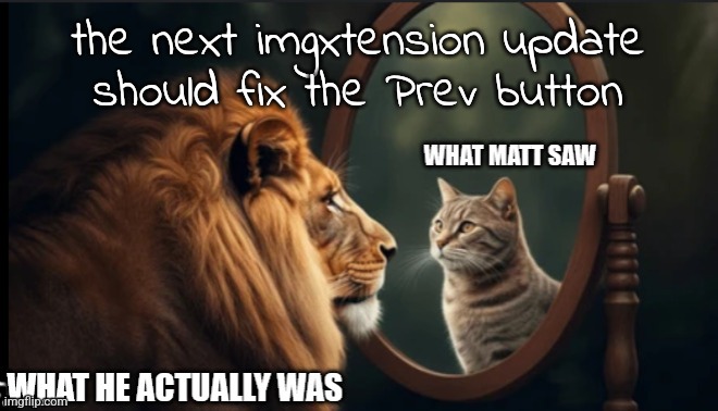 Meme non Submissum | the next imgxtension update should fix the Prev button | image tagged in meme non submissum | made w/ Imgflip meme maker