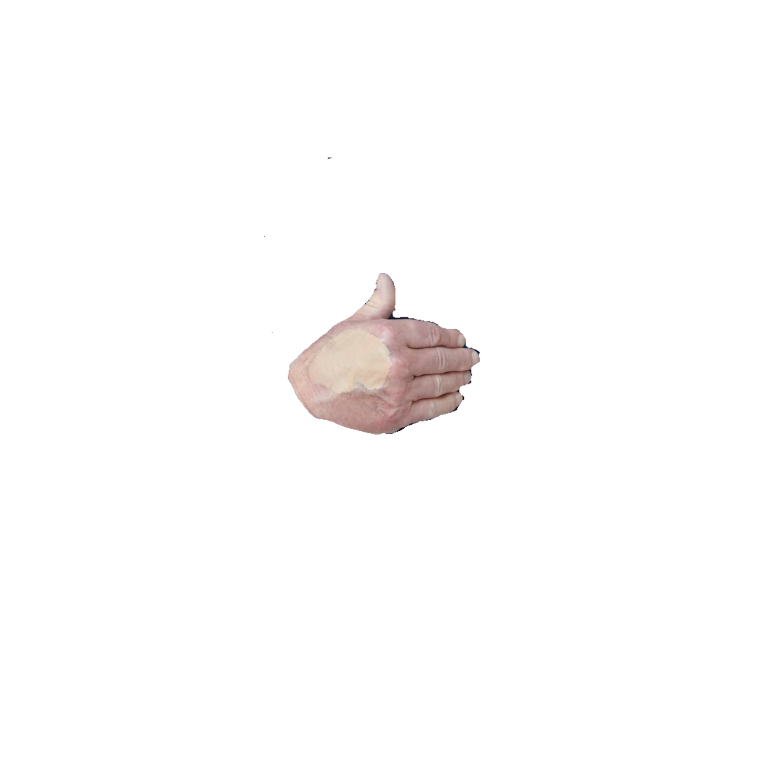 hand Blank Meme Template
