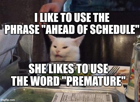 Smudge that darn cat | I LIKE TO USE THE PHRASE "AHEAD OF SCHEDULE"; SHE LIKES TO USE THE WORD "PREMATURE" | image tagged in smudge that darn cat | made w/ Imgflip meme maker